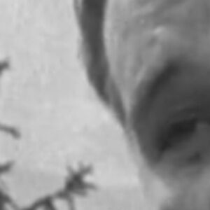 Meet your Posher, Niko